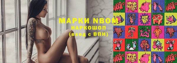 гидра Вязники