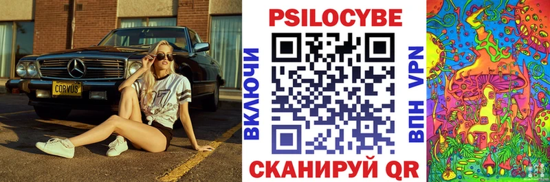 наркота  Великий Новгород  Псилоцибиновые грибы Psilocybine cubensis 